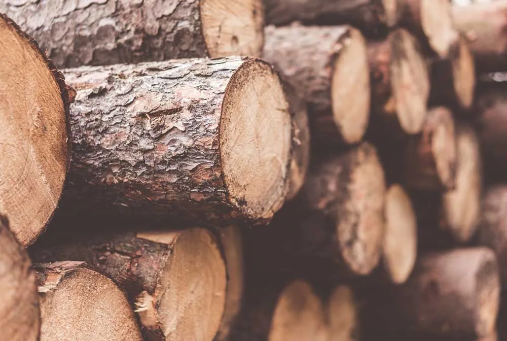 Raw Materials - Sustainable Casegoods